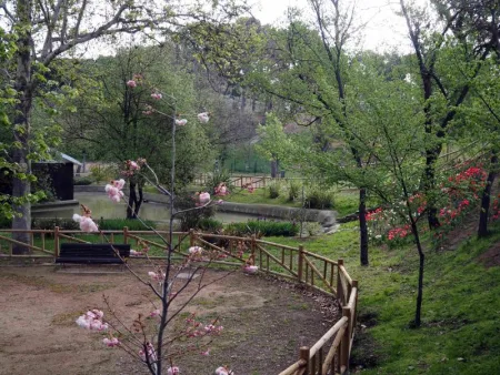 El Parque Grande José Antonio Labordeta estrena su nuevo Jardín Japonés