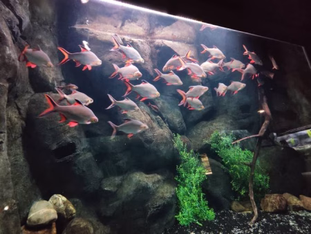 Acuario fluvial de Zaragoza