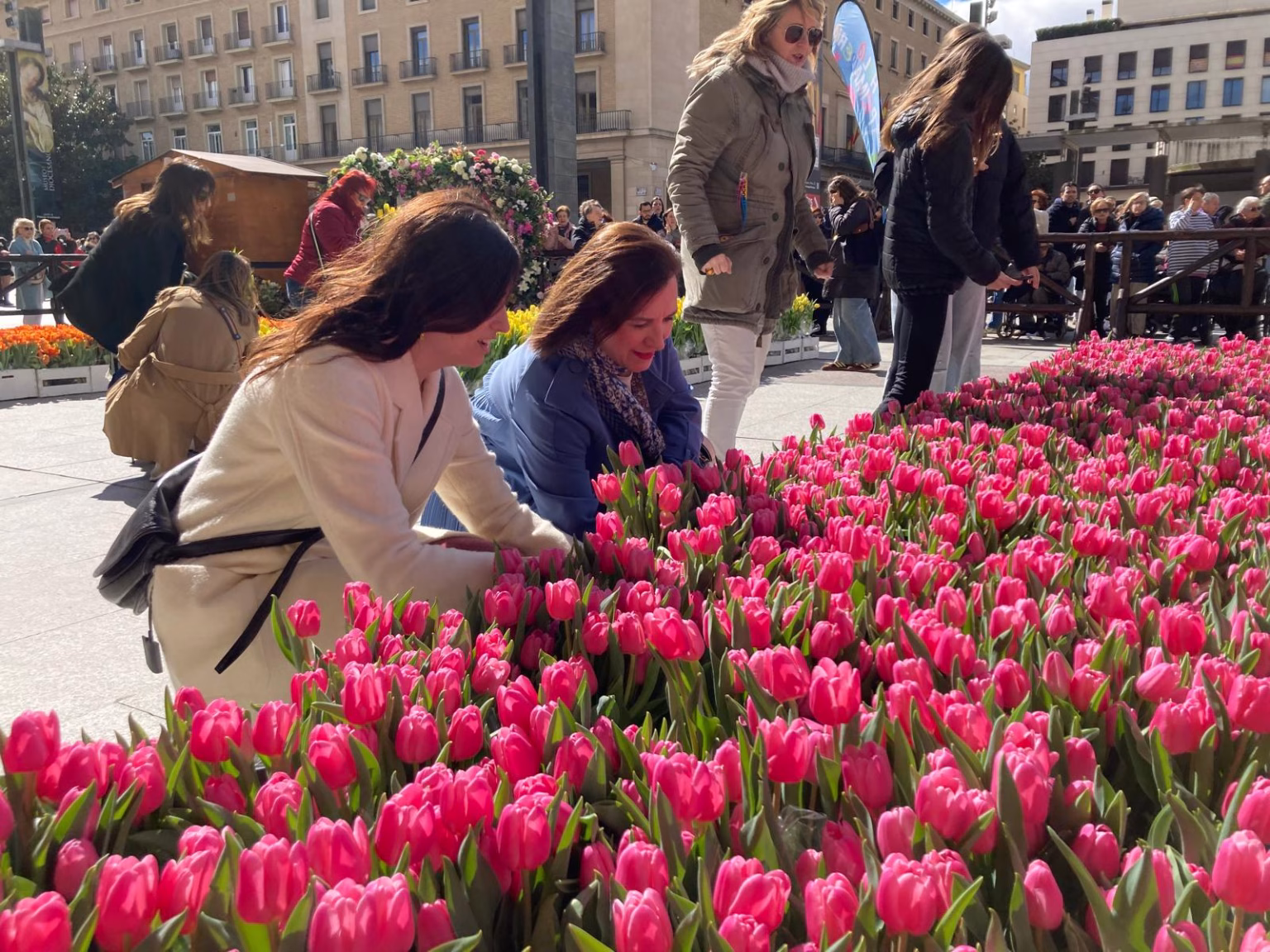 Vuelve este fin de semana el Mercado solidario de Tulipanes a la plaza del Pilar