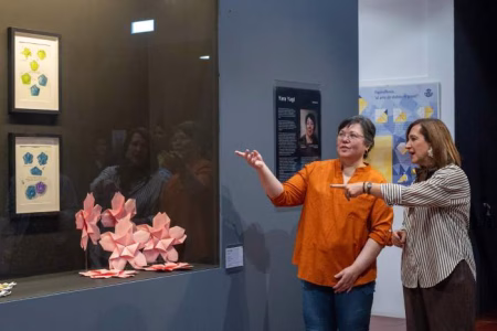“Efímera” lleva a Zaragoza el universo creativo de Yara Yagi y su particular forma de entender el origami